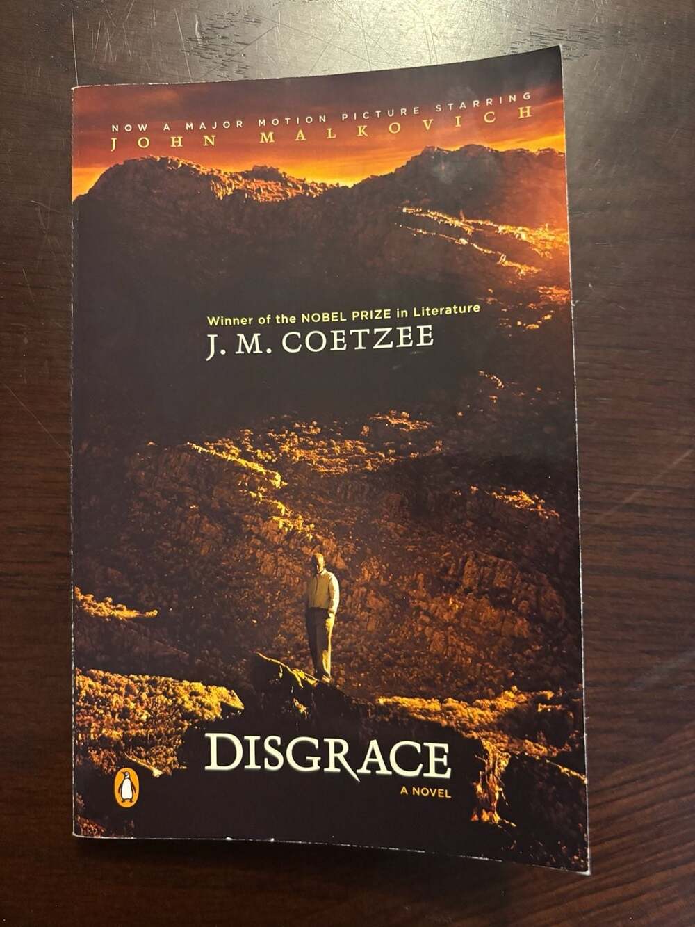 Disgrace: A Novel by J. M. Coetzee (Movie Tie-In Edition, Paperback)